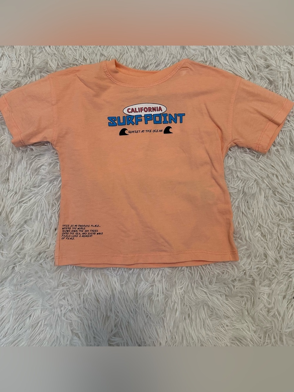 Zara California Surf Point Graphic Tee